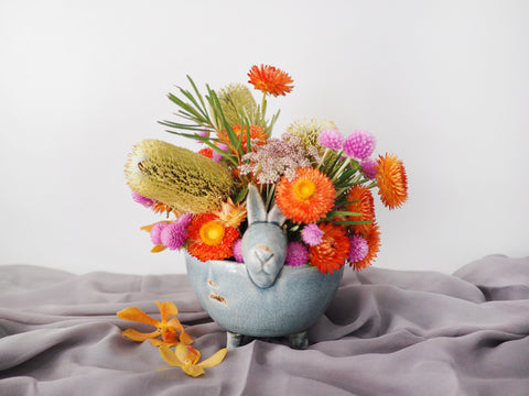 Explore the stem bar in shop!