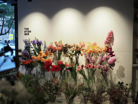 What Makes Pastorale Flower an Ideal Destination To Avail Fresh Flowers In Sydney?