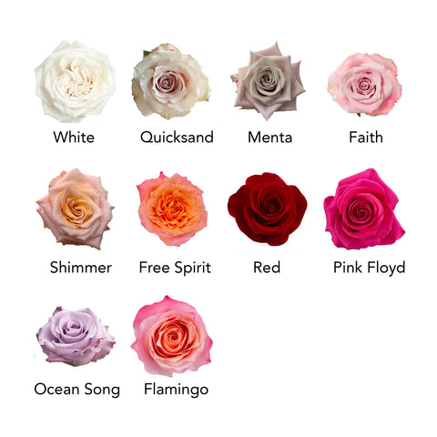 Wrapped Roses